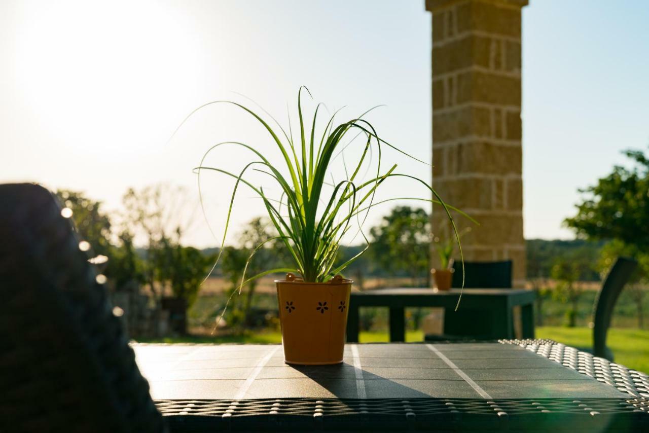Villa Casale Cerfignano Dış mekan fotoğraf